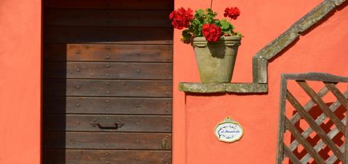 Borgo Mandoleto - Country Resort & Spa - image 2