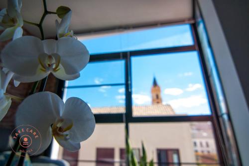 Appartement in Malaga Centro - Tap to explore photos