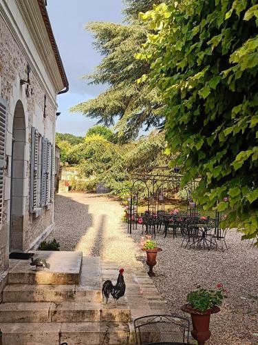 外部景觀, 貝拉西莫內塔住宿加早餐旅館 (Bella Simonetta) in 弗蘭科爾