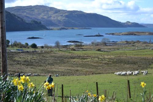 Oban Seil Farm