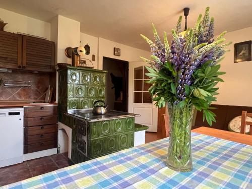 Chalupa Peťka (Chalupa Petka) in 魯德尼克