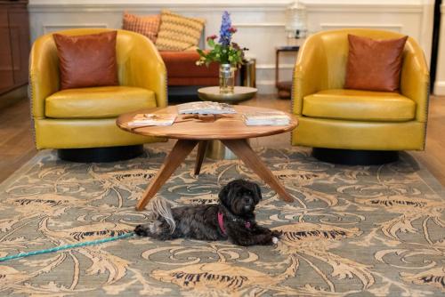 The Oliver Hotel Knoxville, by Oliver near พิพิธภัณฑ์ศิลปะคนอกซ์วิล