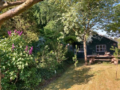 B&BOosterweg3 Studio - Free private parking in ฮีมซเกิร์ก