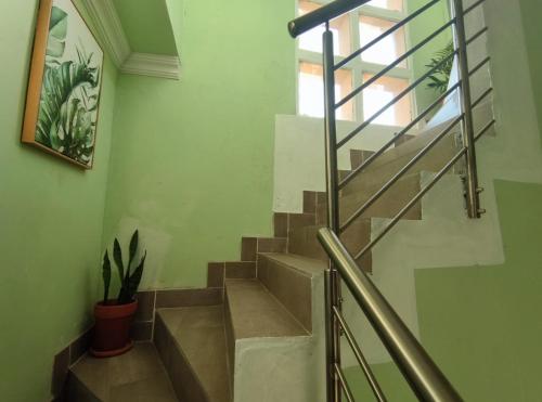 Stephs Loft, Alberton (zdjęcie 8)