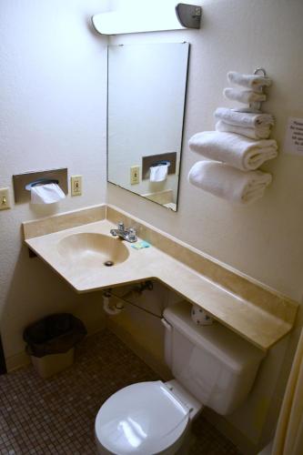 Bathroom, American Motel Waseca in Waseca (MN)