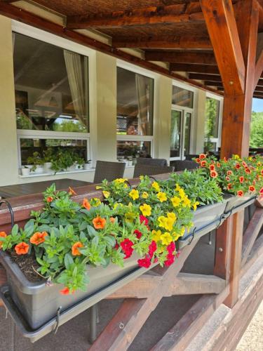 Villa Paradajs - ubytovanie pri jazere in Štiavnické Bane