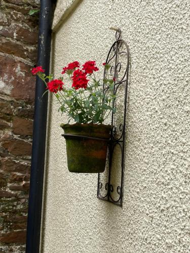 Luxury flat in Totnes, Totnes (foto 2)