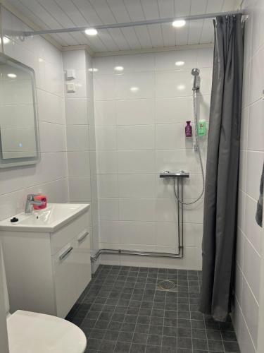 Antinkatu kaksio, as2 in Kokkola Karleby