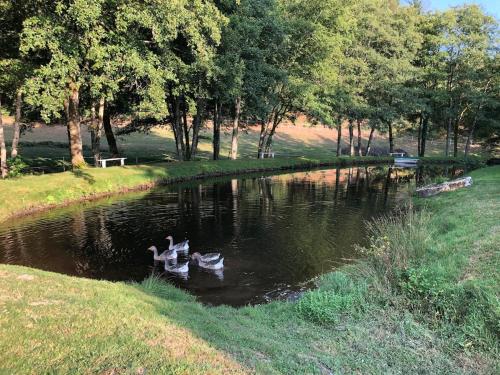 Tres beau gite a proximite du Lac de Vassiviere in Champseau