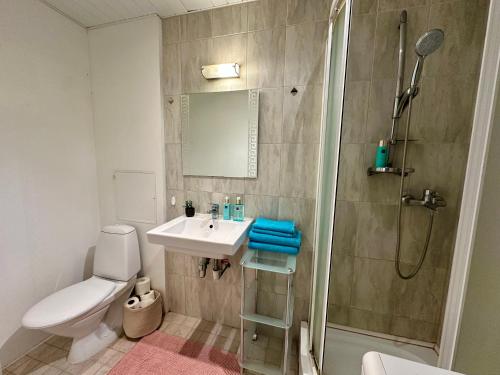 Lovely Rävala Apartment, Tallin (foto 8)