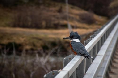 Explora en Torres del Paine - All Inclusive