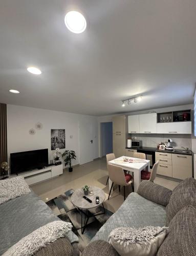 Koplietošanas atpūtas telpa ar TV, Apartments Dani in Postojna