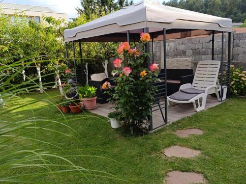 Dārzs, Apartments Dani in Postojna