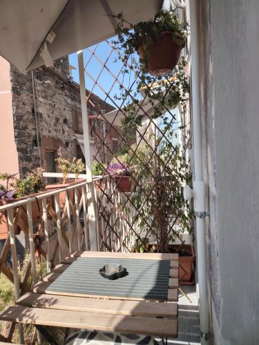 מרפסת, Carmen House in קטניה