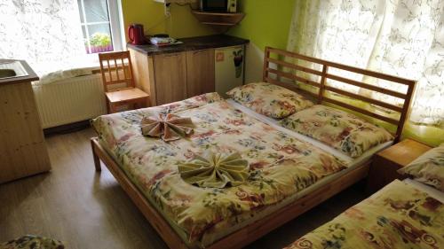 Pension Euro 2000 in Janov