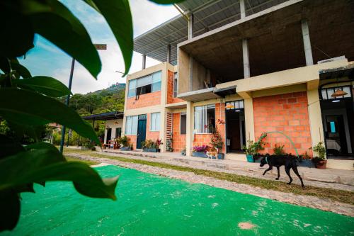 Viesnīcas āriene, Green Apartment el prado in Giron