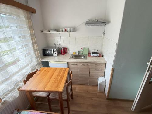 Pension Euro 2000 in Janov