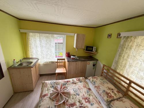 Pension Euro 2000 in Janov