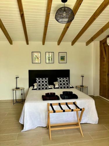 Chalet charmant à Le Gosier avec piscine privée - image 13