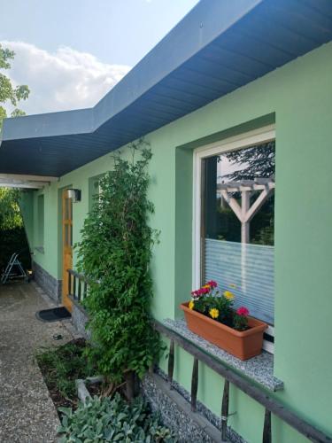 Waldblick in Cavertitz