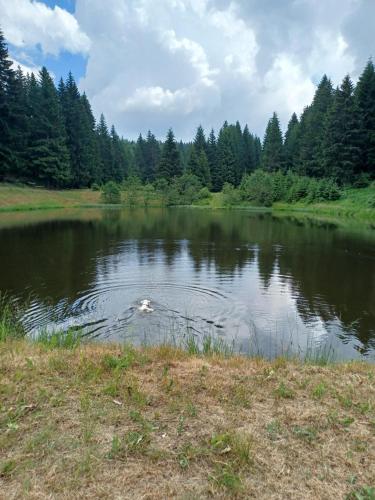 Roubenka Pod Lesem in Český Jiřetín