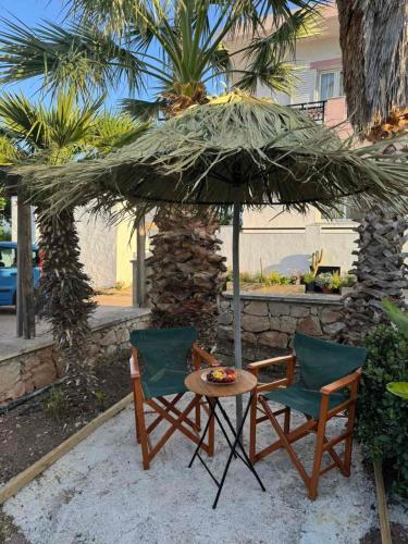 Garden, Michalis studio in Itanos