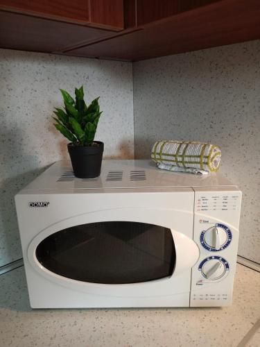 Apartment image 10