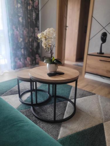 Apartament z basenem i jacuzzi KARMELOWY NA DOLNEJ Green Park Resort A13, ul DOLNA 7A, Szklarska Poręba (foto 11)