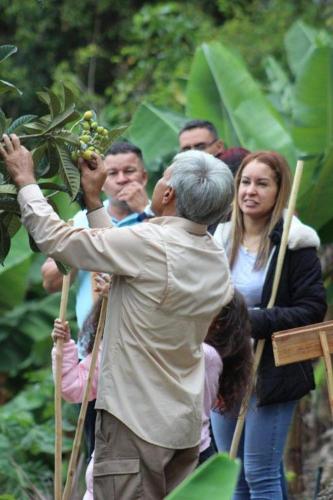 Granja, Cafetalera Alegría 1, Mérida (foto 7)