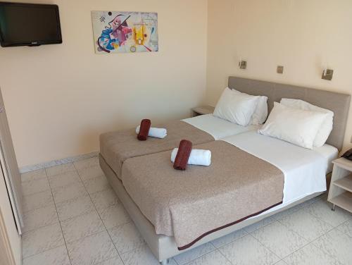 Standard Double Room image 10