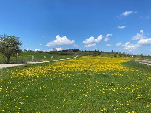Létesítmények, T2 - 48m2 - La Ferme à Dédé (T2 - 48m2 - La Ferme a Dede) in Pontarlier