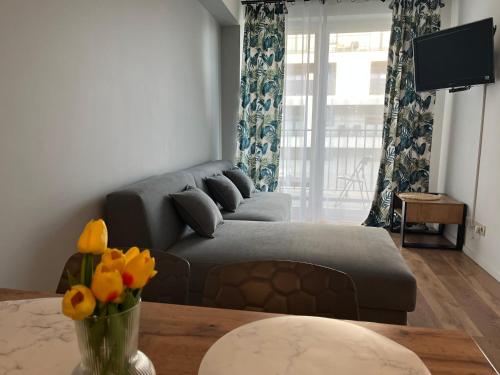 Apartament Marko