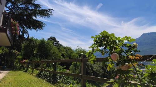 DOLCE DORMIRE, Rovereto (fotografie 6)