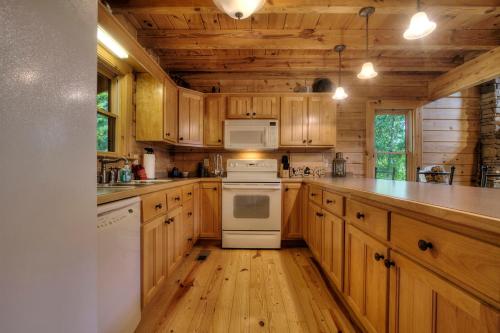 Bears Up There in Wears Valley (TN)