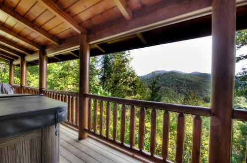 Bears Up There in Wears Valley (TN)