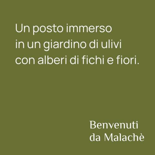  Malachè in Torchiara