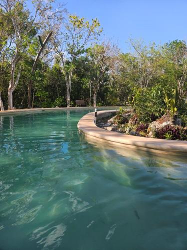 Peldbaseins, Spazi Ha Glamping & Cenote in Tikuch