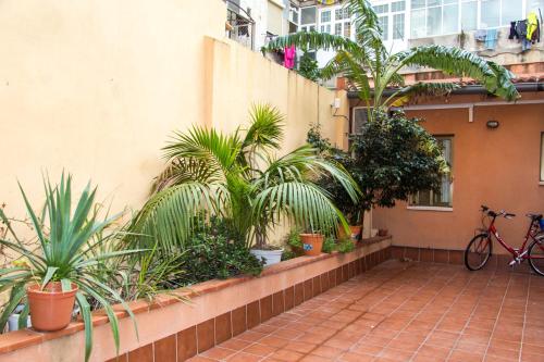 บริการและสิ่งอำนวยความสะดวก, โอสตัล บาเลร์ (Hostal Baler) near พลาซา เอซปันยา