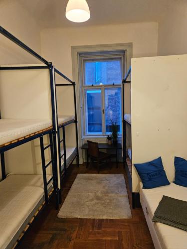 Vintage Heaven Oasis Hostel 5