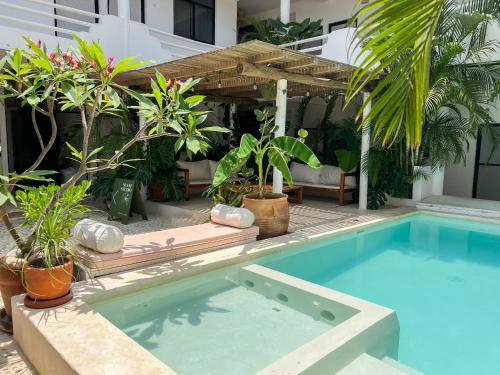 Swimming pool, La Punta Rooms in Puerto Escondido