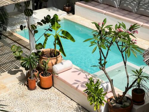 La Punta Rooms, Dist. Pochutla