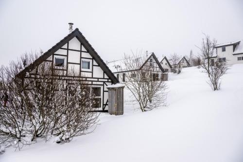 Landal Winterberg