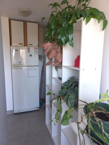 Cómodo departamento en La Florida, a metros del río Paraná (Comodo departamento en La Florida, a metros del rio Parana) in 셀레도니오 에스칼라다