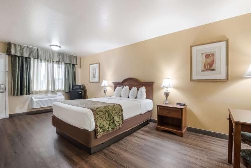 SureStay Hotel by Best Western Fernley - image 11