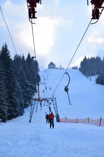 Pension Tofalvi - image 5