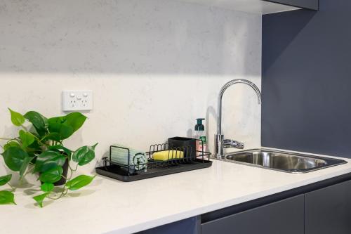 Kitchen, The Park OASIS Burwood in Strathfield