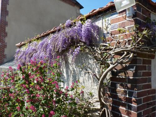 Garden, Le Clos Saint Nicolas in Chateau-Renard