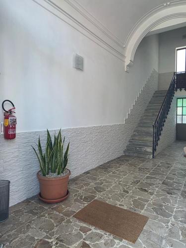 Luxury B&B Iolanda 5