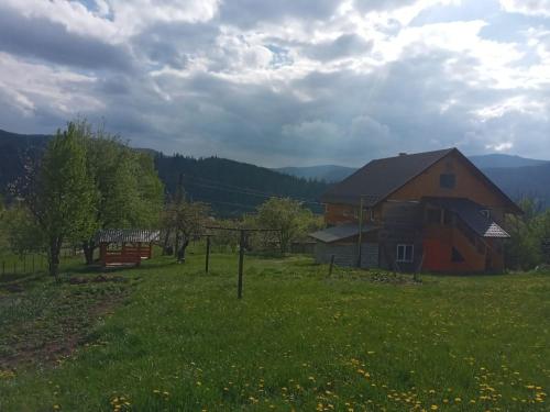 Смерека, Mykulytschyn