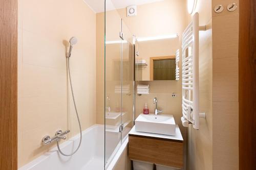 Sunny apartment, Praga (foto 10)